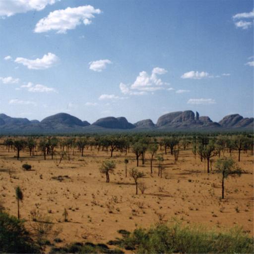 The Olgas