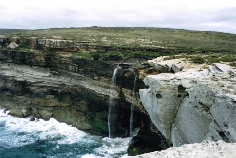 Royal National Park, Sydney