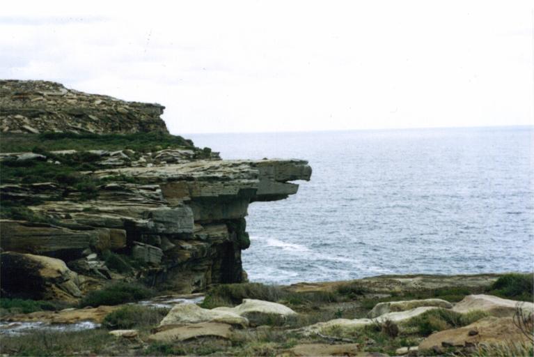 rne ansigtet i Royal National Park, Sydney