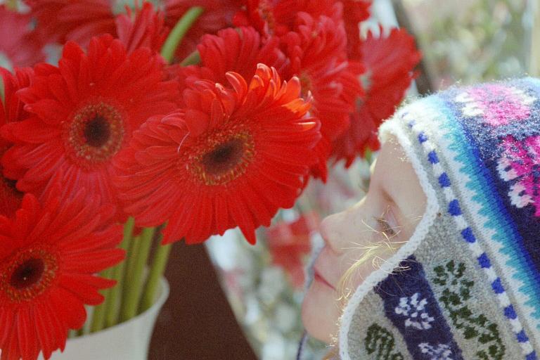 Natasha beundrer blomster p markedet i Riga